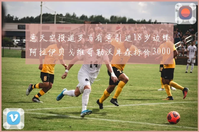 意天空报道罗马有意引进18岁边锋阿拉伊贝戈维奇勒沃库森标价3000万欧元