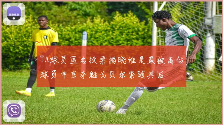 TA球员匿名投票揭晓谁是最被高估球员申京夺魁戈贝尔紧随其后