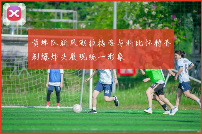 黄蜂队新风潮拉梅洛与科比怀特齐剃爆炸头展现统一形象