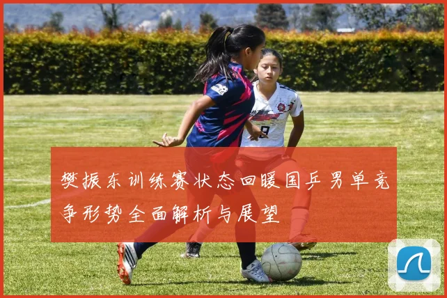 樊振东训练赛状态回暖国乒男单竞争形势全面解析与展望